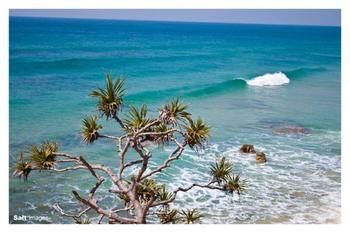 Pacific Horizons Resort - Accommodation Gold Coast 24