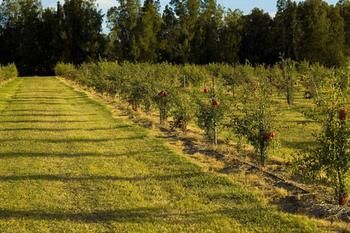 Talga Estate - Accommodation Gold Coast 45