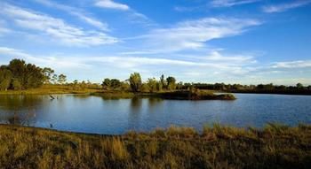 Talga Estate - Accommodation Gold Coast 46