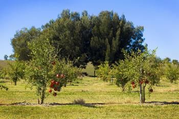 Talga Estate - Accommodation Gold Coast 48