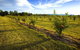Talga Estate - thumb 12