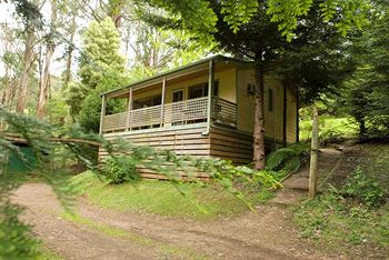 Hill 'N' Dale Farm Cottages - Accommodation Gold Coast 3