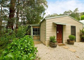Hill 'N' Dale Farm Cottages - Accommodation Gold Coast 10