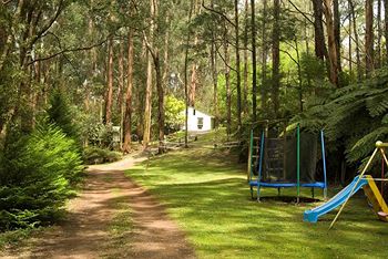 Hill 'N' Dale Farm Cottages - Accommodation Gold Coast 11