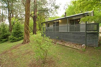 Hill 'N' Dale Farm Cottages - Accommodation Gold Coast 12