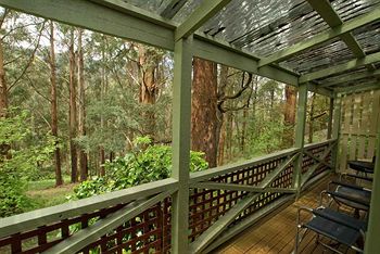 Hill 'N' Dale Farm Cottages - Accommodation Gold Coast 13