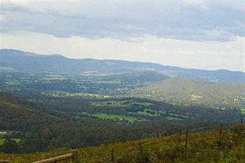 Hill 'N' Dale Farm Cottages - Accommodation Gold Coast 14