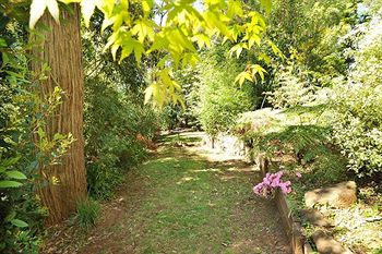 Holly Lodge - Accommodation Gold Coast 4