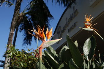 Beachside Resort - Kawana Waters - Accommodation Gold Coast 4