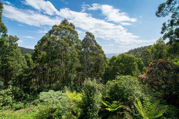 A Camelot Tower & Penthouse - Accommodation Gold Coast 46