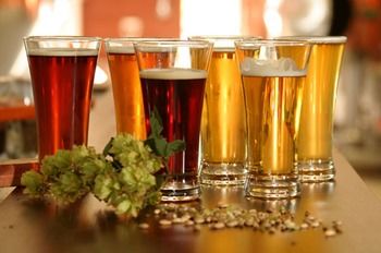 Potters Hotel Brewery Resort - Accommodation Gold Coast 12