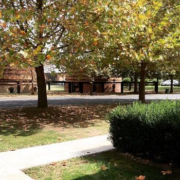 Potters Hotel Brewery Resort - Accommodation Gold Coast 20
