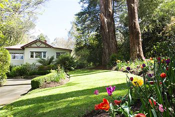 Adeline Bed And Breakfast - Accommodation Gold Coast 5