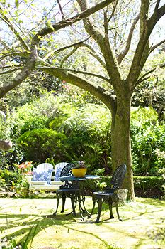 Adeline Bed And Breakfast - Accommodation Gold Coast 7