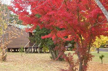 Madison's Mountain Retreat - Accommodation Gold Coast 1