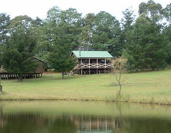 Madison's Mountain Retreat - Accommodation Gold Coast 2