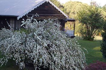 Madison's Mountain Retreat - Accommodation Gold Coast 3