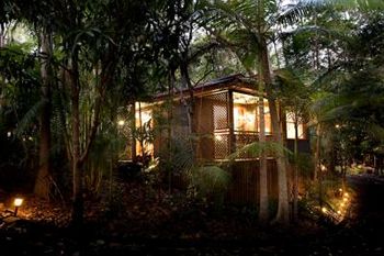 Amore On Buderim Luxury Rainforest Cabins - Accommodation Gold Coast 10