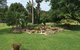 Sinclairs Country Retreat - thumb 4