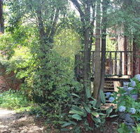 Storey Grange - Accommodation Gold Coast