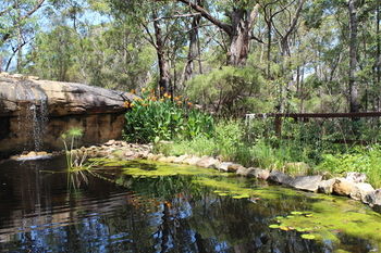 Storey Grange - Accommodation Gold Coast 12