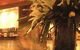 The Downing Hostel - thumb 0
