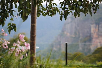 Echoes Boutique Hotel And Restaurant - Accommodation Gold Coast 13