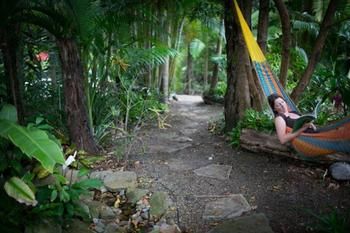 Noosa Valley Manor B&B Retreat - Accommodation Gold Coast 4