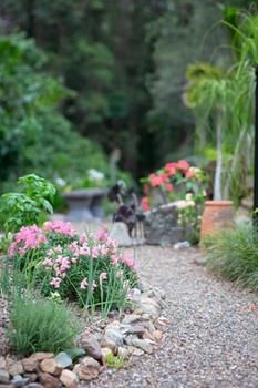 Noosa Valley Manor B&B Retreat - Accommodation Gold Coast 12