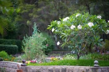 Noosa Valley Manor B&B Retreat - Accommodation Gold Coast 13