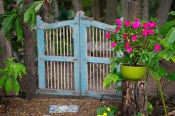 Noosa Valley Manor B&B Retreat - Accommodation Gold Coast 30