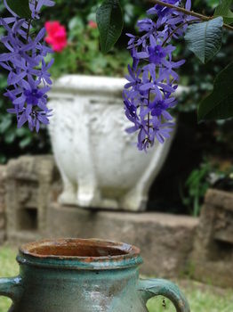 Noosa Valley Manor B&B Retreat - Accommodation Gold Coast 31