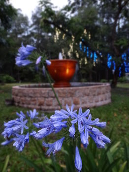 Noosa Valley Manor B&B Retreat - Accommodation Gold Coast 34