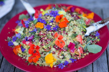 Noosa Valley Manor B&B Retreat - Accommodation Gold Coast 36