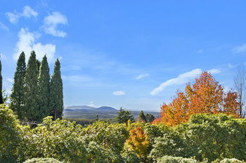 Silvermere - Accommodation Gold Coast 22