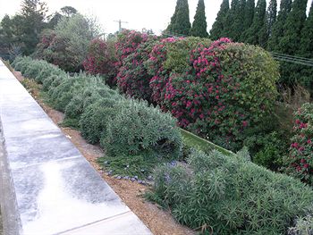 Silvermere - Accommodation Gold Coast 0