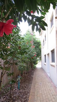 Waldorf Hornsby Residential Apartments - Accommodation Gold Coast 8