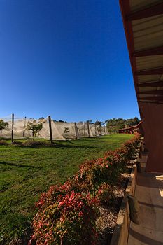 De'Vine Escape - Accommodation Gold Coast 5