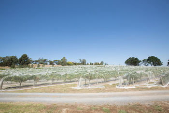 De'Vine Escape - Accommodation Gold Coast 12