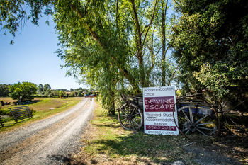 De'Vine Escape - Accommodation Gold Coast 22