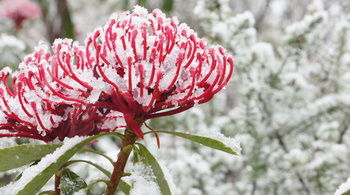 Valley Of The Waters B&B - Accommodation Gold Coast 12