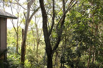 Arabella Guesthouse - Accommodation Gold Coast 18