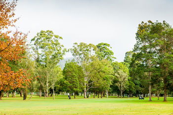 Retreat At Wisemans - Accommodation Gold Coast 17