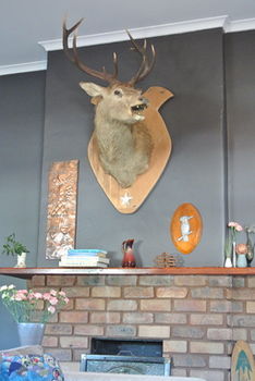 Vine Valley Inn - Accommodation Gold Coast 49