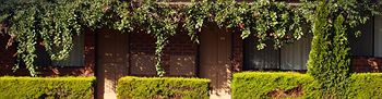 Nunawading Motor Inn - Gold Coast 4U 30