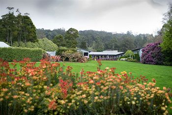 CountryPlace - Accommodation Gold Coast 8