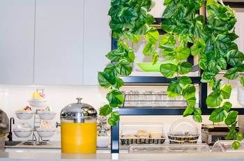 Ibis Budget Sydney East - Accommodation Gold Coast 29