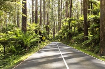 Vibe Hotel Marysville - Accommodation Gold Coast 19