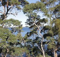 The Edgewater Bed amp Breakfast - Accommodation Gold Coast