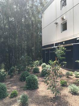 Ibis Budget Gosford - Accommodation Gold Coast 14